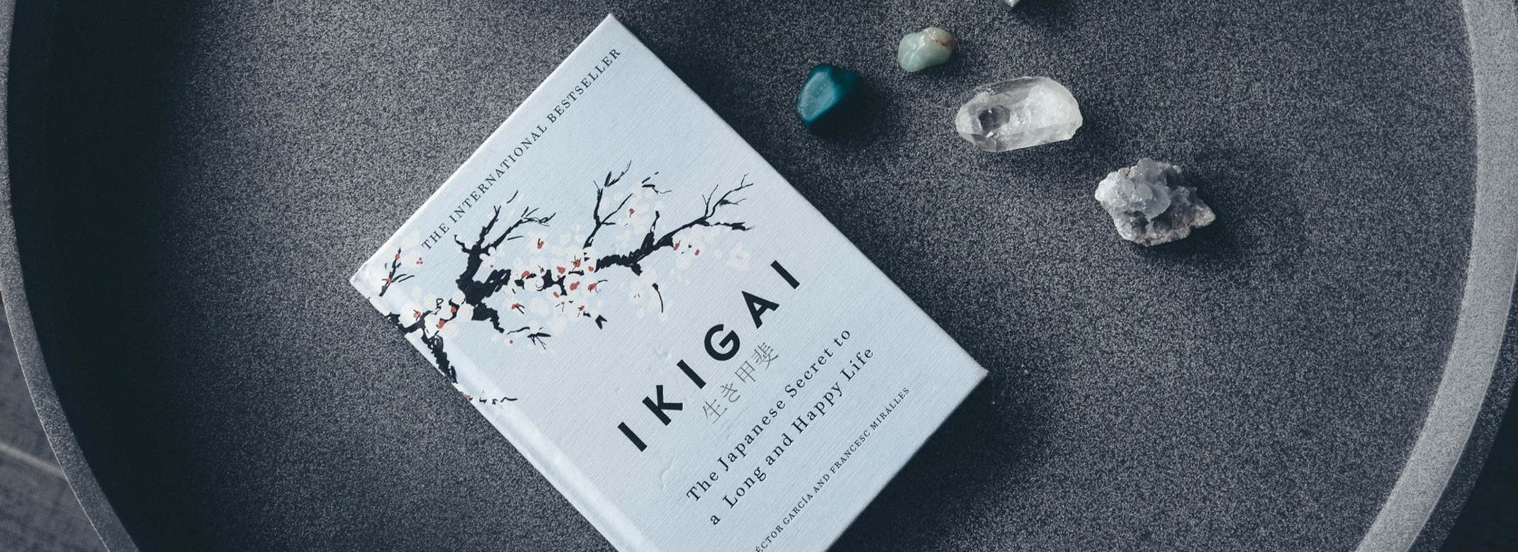 IKIGAI: The japanese secret to a long and happy life